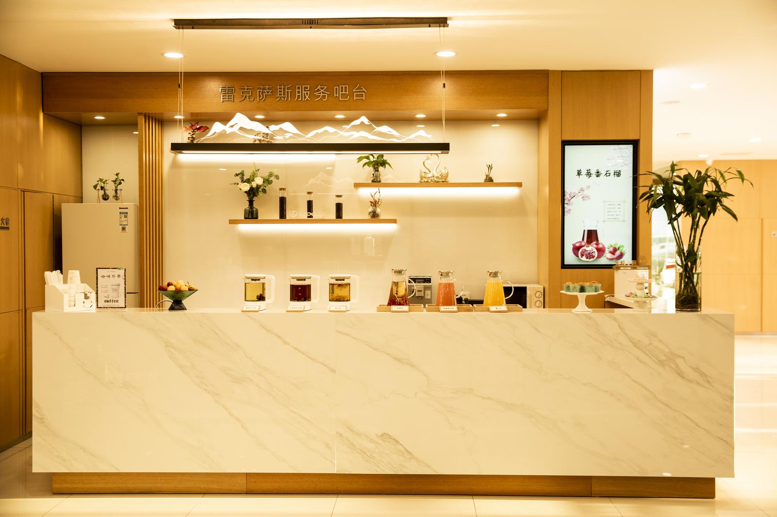 longsheng-lexus image 7